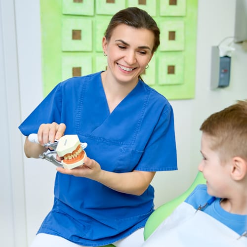 Prophylaxe-Service